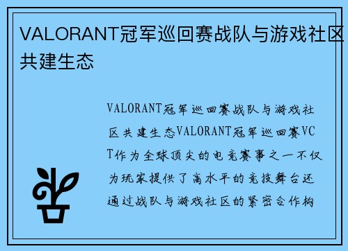 VALORANT冠军巡回赛战队与游戏社区共建生态