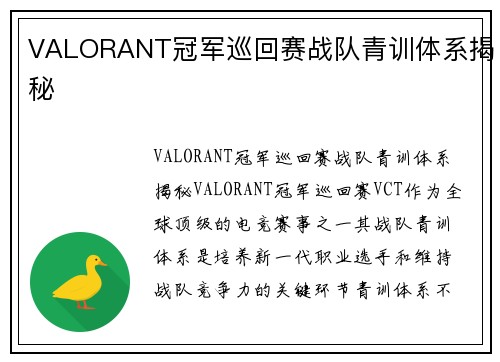 VALORANT冠军巡回赛战队青训体系揭秘